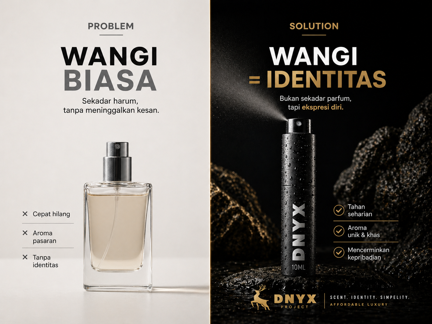 DNYX PROJECT — Problem Visual
